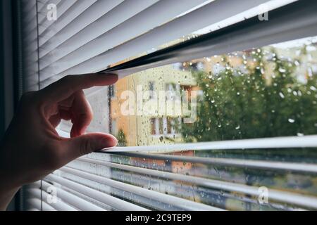 Rainy day in city. View through blinds in window. Stock Photo