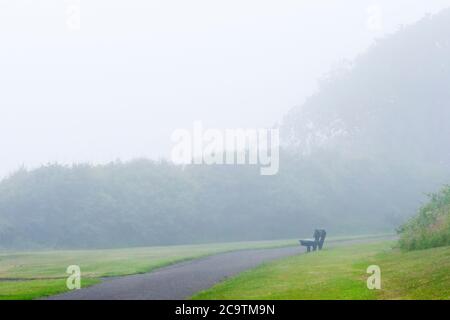 An empty, solitary park bench on a foggy, misty day. Stock Photo