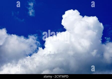 Rain clouds (cumulo nimbus, cumulus) beginning to build on a warm summer's day. Stock Photo
