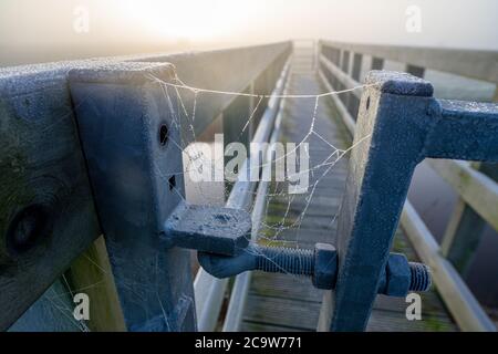 Dew droplets on a spider web at sunrise around fairfield church. Stock Photo