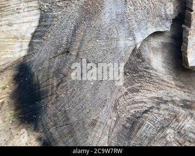 wood texture. background old panels Stock Photo