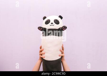 Hand holding a Panda doll. A Panda toy on a colored background. A pillow for sleeping. Stock Photo