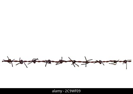 Barbed wire isolated on white background Stock Photo - Alamy