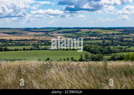 Typical farmyard set in the English countryside. The Meon Valley in Hampshire on a clear summers day. Blue skies with little cloud to spoil the view. Stock Photo