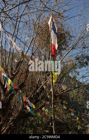 Colorful buddhist prayer flags hanging, blowing in the wind by the mountains at Annapurna circuit, Nepal Stock Photo