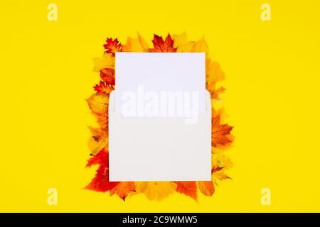 Envelope with white blank letterhead on yellow background and dry autumn leaves Stock Photo