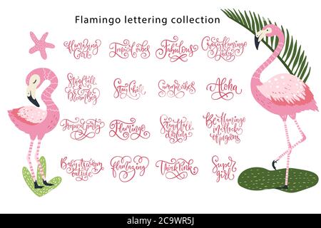 Summer lettering flamingo girly vector set. Summertime calligraphy quote collection. Perfect for tshirt prints - aloha, summer, tropical vibes, super girl, stand tall. Stock Vector