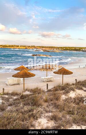 Straw parasols at evening time on Platja des Pujols beach in Es Pujols, Formentera, Spain Stock Photo