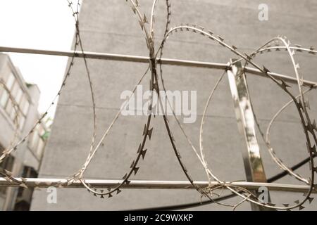 Concrete wall, against the backdrop of barbed wire, the concept of prison, salvation, Refugee, lonely, space for text Stock Photo