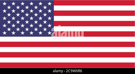 American flag vector icon. USA Stock Vector