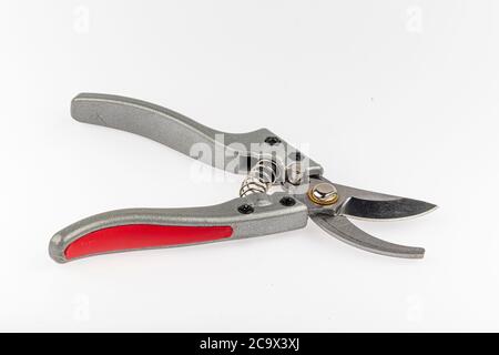 Garden secateurs. Pruning Shears isolated on white background. Stock Photo