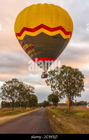 A colourful balloon with tourists, begins it's dawn adventure slowly rising above trees and a country road in Mareeba, Queensland, Australia. Stock Photo