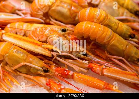 Fresh red lobsters on ice  in a store Stock Photo