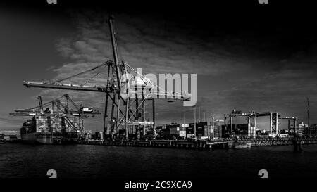 Black and White Photo of Container Port with the Large Container Cranes loading a Ocean Going Freighter in Vancouver Harbor Stock Photo