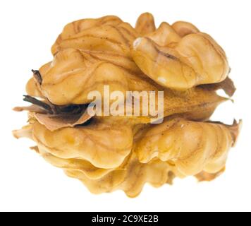 Walnut without shell isolated on white background Stock Photo
