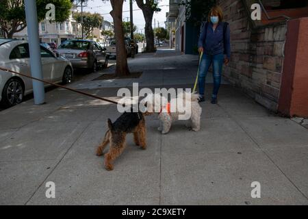 A pair of dog walkers stop for a chat on the sidewalk in the Noe Valley neighborhood of San Francisco, CA, USA. Stock Photo