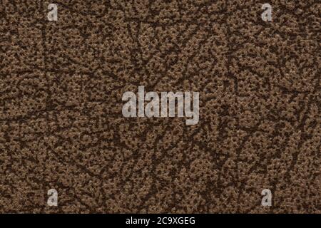 Remarkable textile background in dark tone. High quality texture in extremely high resolution. Stock Photo