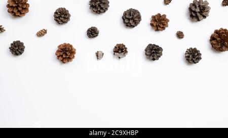 Autumn dry pine cones on white background. flat lay, top view, copy space Stock Photo