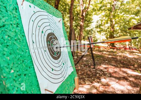 Target for archery, with an arrow in the bull's-eye. Forest in the background. Side view. Close up. Stock Photo