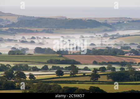 Pilsdon Pen, Dorset, UK.  3rd August 2020.  UK Weather. Patches of mist in the Marshwood Vale viewed from Pilsdon Pen near Broadwindsor in Dorset at sunrise.  Picture Credit: Graham Hunt/Alamy Live News Stock Photo