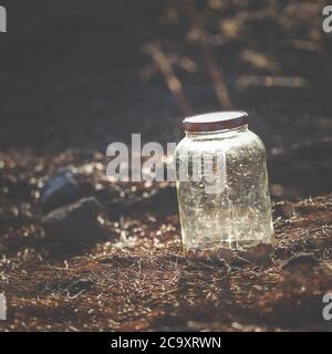 Dirty glass jar with coins placed on ground under sunlight in peaceful forest Stock Photo
