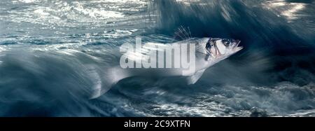 Fish jumping out of water concept Stock Photo