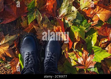 Leather boots on the fallen autumn leaves Stock Photo