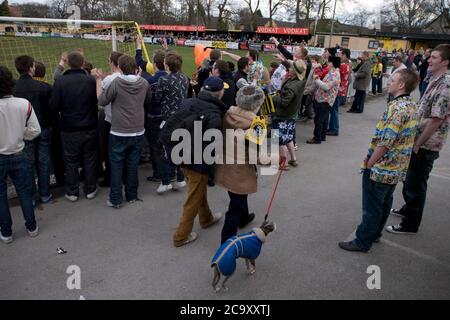 Southport fans behind the goal in the second half watching their team taking on Harrogate Town at Wetherby Road, Harrogate. The Conference North match was won 3-2 by Southport, a result which kept the Sandgrounders on course for top spot in the division while Harrogate Town remained bottom. Harrogate Town were promoted to the English Football League (EFL) at the end of the 2019-20 season for the first time in their history, when they defeated Notts County in the National League play-off final at Wembley Stock Photo