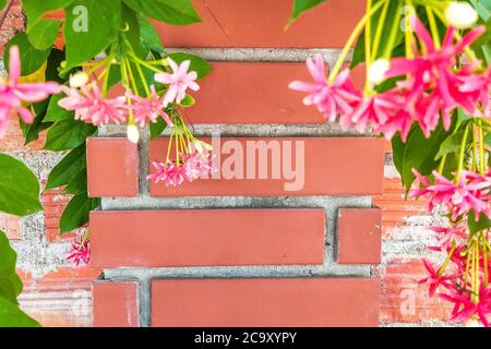 Beautiful background of closeup red brown brick wall with green pink flowers on sides. With copy space ideal for use in the design or wallpaper Stock Photo