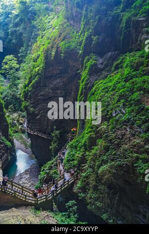 Wulong, China - August 2019 : Tourists walking on a wooden artificial cliff attached walkway path going through the gorge and the landscape of Wulong Stock Photo