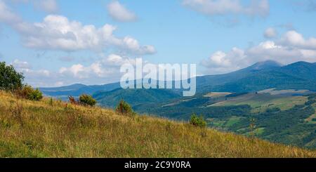 Carpathian countryside in September. mountain landscape on a sunny day. trees on the meadow. sky with fluffy clouds Stock Photo