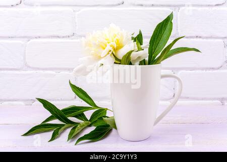 White cappuccino coffee mug mockup with cream peony flower.  Empty mug mock up for design promotion. Stock Photo