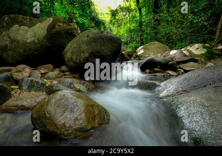 Rock or stone at waterfall. Beautiful waterfall in jungle. Waterfall in tropical forest with green tree and sunlight. Waterfall is flowing in jungle. Stock Photo