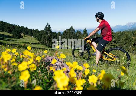 man taking a break on his mountain bike in a flower meadow, sport concept and healthy lifestyle in nature Stock Photo