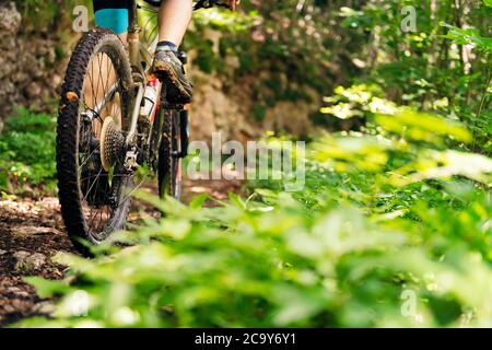 detail of the wheels of a mountain bike riding on a forest road, concept of sport and healthy lifestyle in nature, copy space for text Stock Photo