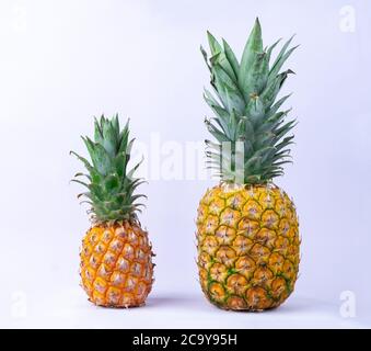 Image of two ripe fresh pineapples on white background Stock Photo