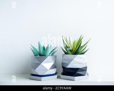 Green succulent plants in modern geometric concrete planter on white shelf isolated on white wall background. Two beautiful black and silver colour pa Stock Photo