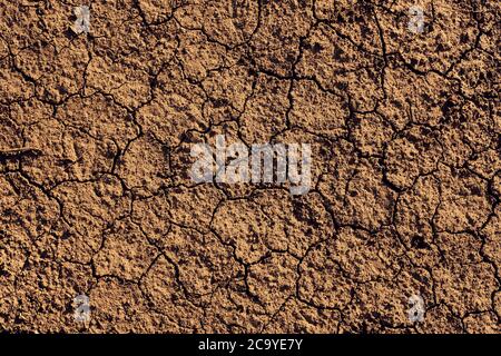 Texture of dry cracked land surface on hot summer day, top view Stock Photo