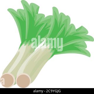 leek onion on white background vector illustration design Stock Vector