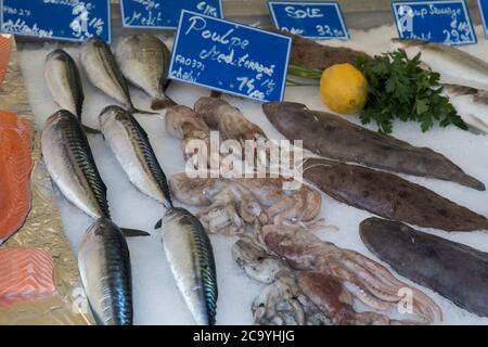 Nice, France, July 18th 2018, fresh fish on ice, on sale at the food market Stock Photo