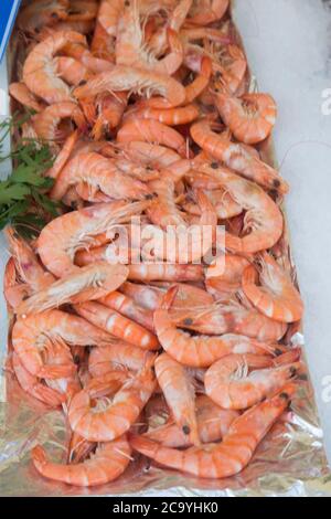 June 2018, Nice, France, a close up shot of loose king prawns for sale at a food market Stock Photo