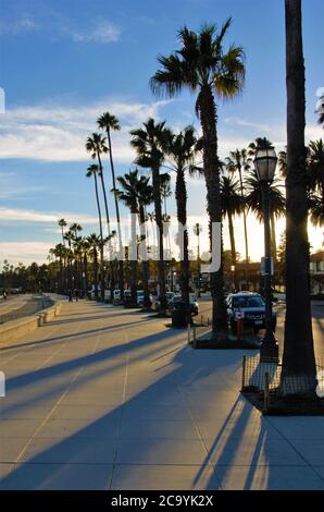 Palm trees and their shadows during sunset on promenade, Santa Barbara Stock Photo