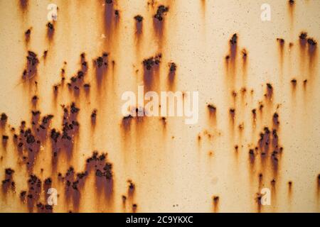 An orange painted sheet of rusted iron metal Stock Photo