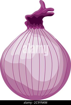 red onion on white background vector illustration design Stock Vector