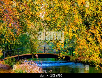 bridge set against a background of beautiful Autumn foliage Stock Photo