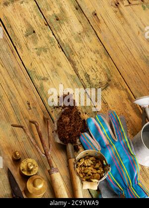 Gardening tools on wood with copy space Stock Photo