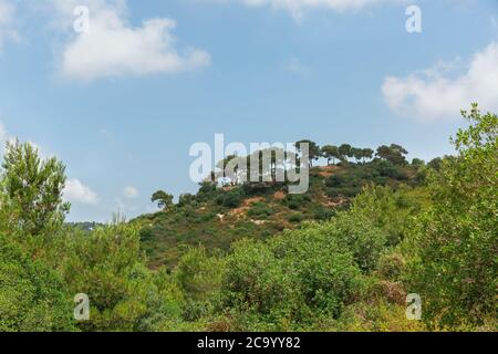 Beautiful view of Mount Carmel against the blue sky in Israel Stock Photo