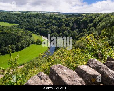 View along Wye Valley from Symonds Yat Rock viewpoint Gloucestershire England UK on a sunny July day Stock Photo
