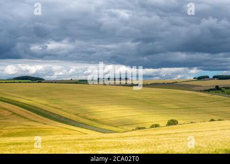 Colourful landscape view over rolling hills and wheat fields on a sunny day with dark clouds.