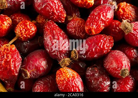 Dried berries of rose hips. Dried fruits. Stock Photo